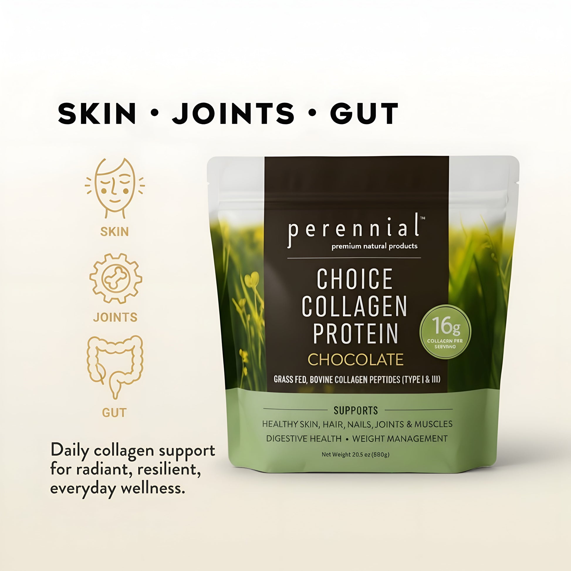 Collagen Peptides for Skin, Joints Gut — Chocolate |